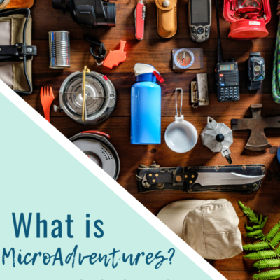 The Year of MicroAdventures